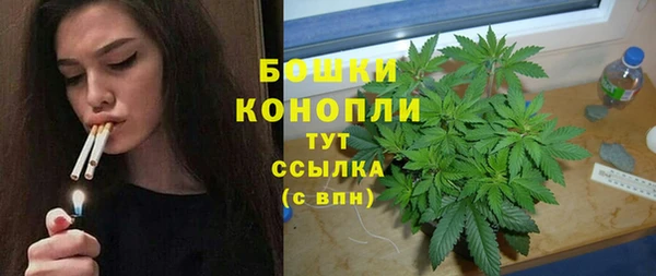 твердый Белокуриха